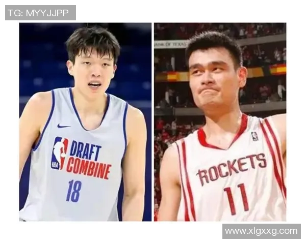 姚明的篮球成就与社会影响力的全面分析与评价