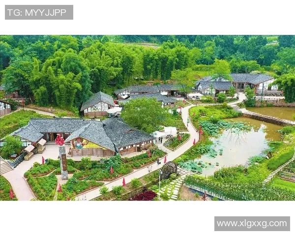 昭平姚明忠的传奇人生与乡村振兴的探索之路